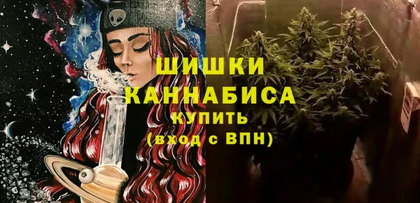 стафф Богородск